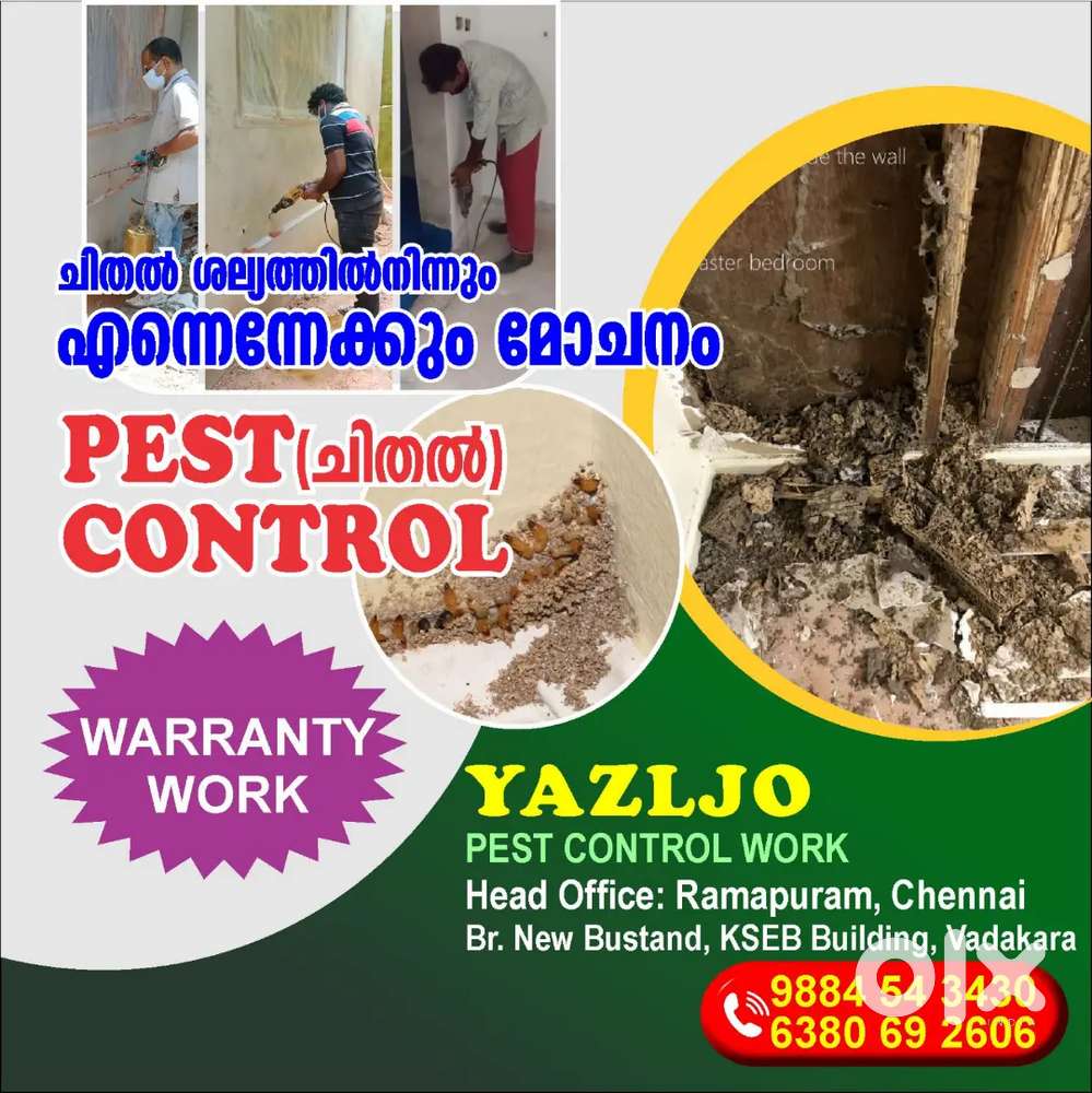 Pest control (chithal) work.Yazljo pest control