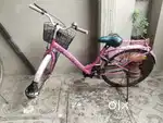 LADY BIRD CYCLE