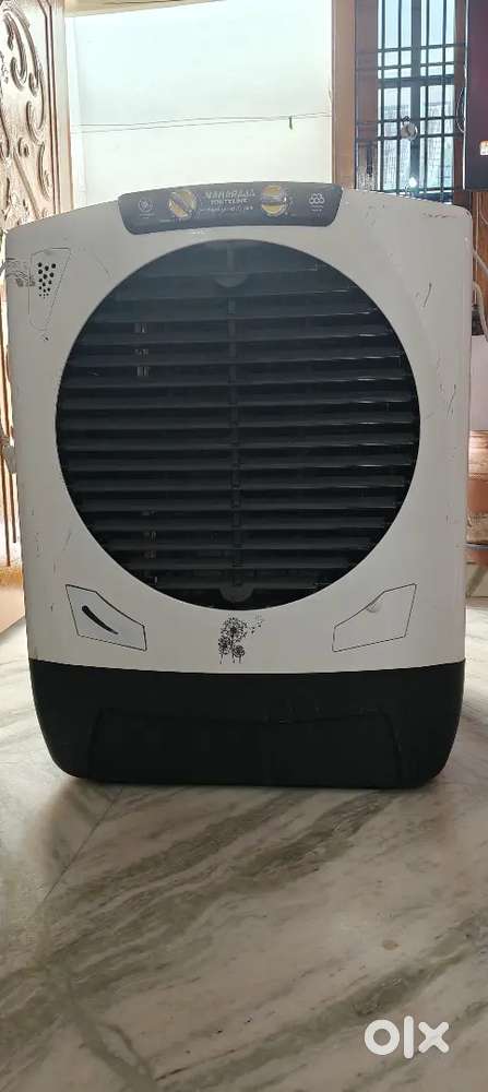 Maharaja white line cooler