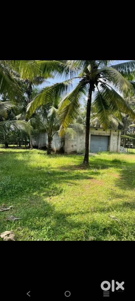 2.43 acre land at kurichy