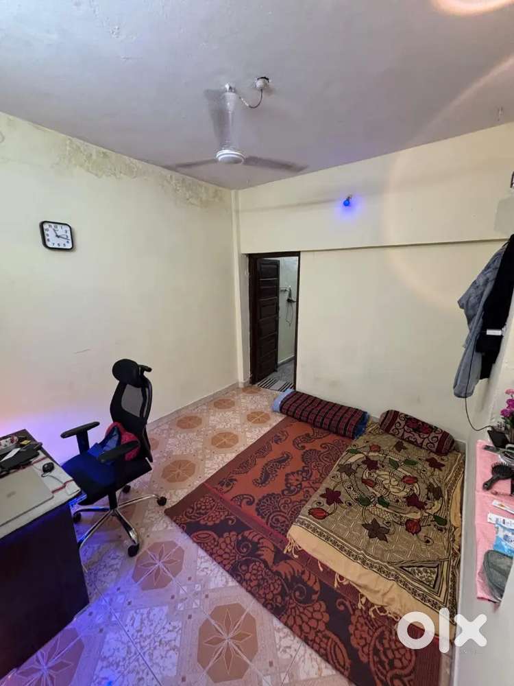 Need female flatmate