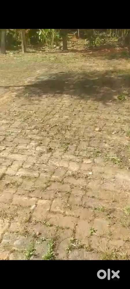 3.5 CENT PLOT  SUTABLE FOR APARTMENT AND  VILLA KAKKANAD