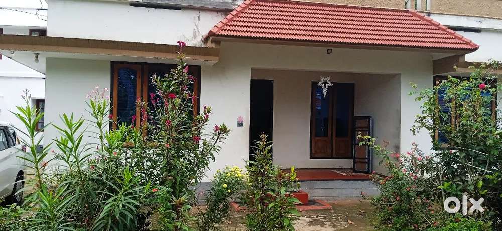 Rental house 3bhk 2bathroom located in Russelpuram near Balaramapuram