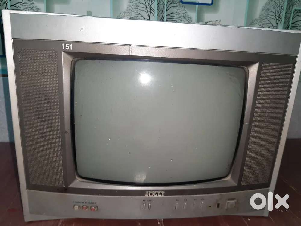 Jolly tv for entertainment