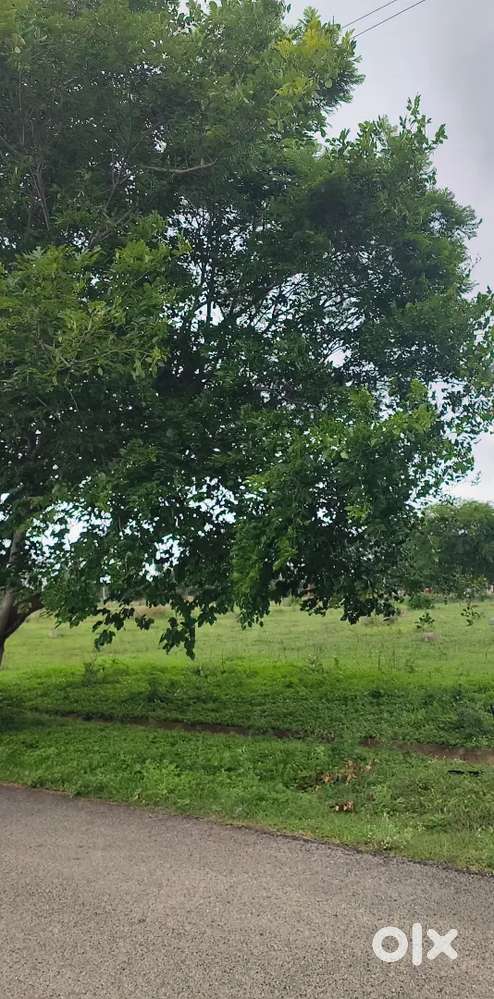 KHB 50*80 site for sale in Suryanagar phase 2