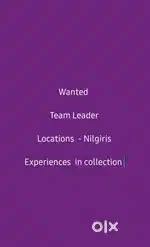Team Leader