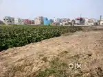 Plots near Malda Rathbari