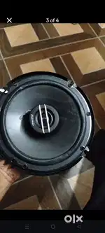 Speaker pioneer