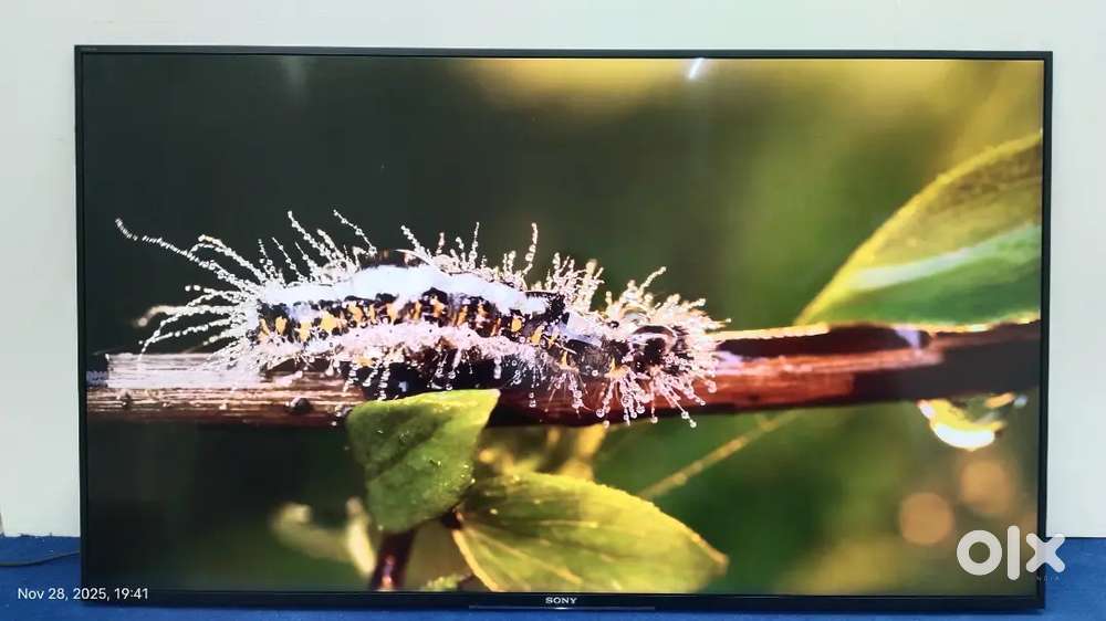 SONY 55 INCH SMART TV