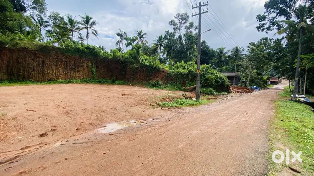 10 cent plot for sale