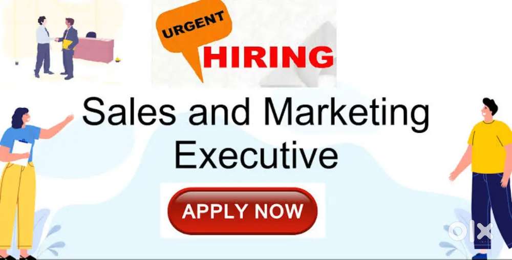 Marketing Executive