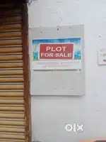 House hai best condition may