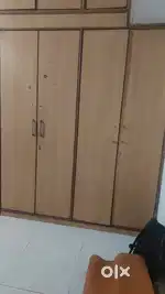 Urgent need female Flatmate