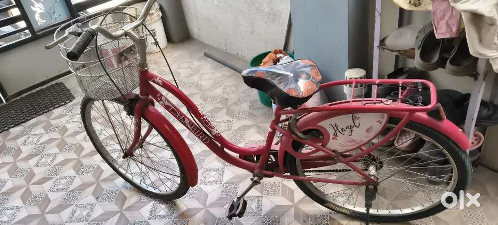 Hazel lady Bird cycle