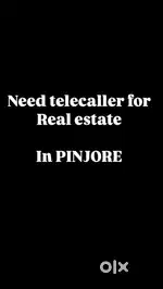 Real estate Telecaller sales