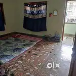 Female roomate needed