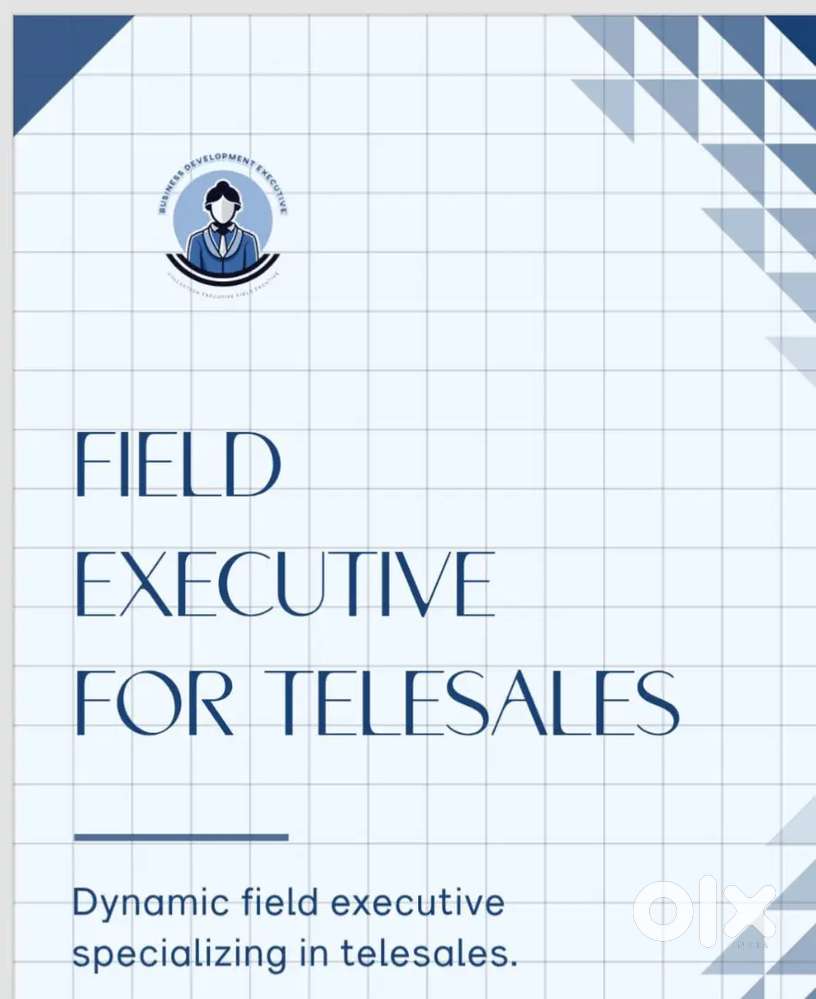 Telesales Executive and recovery