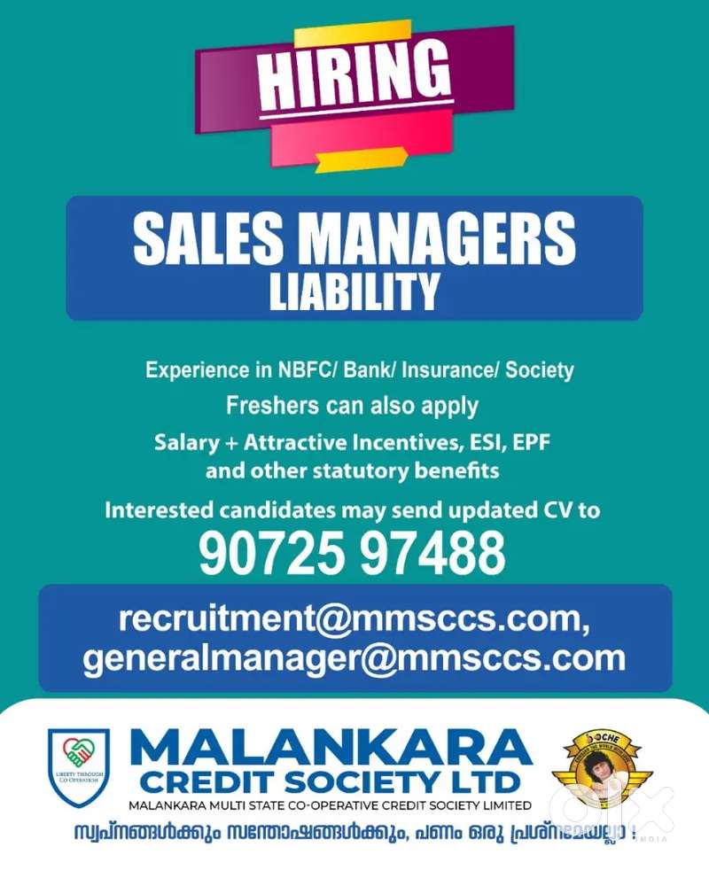 Sales manager liabilities
