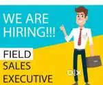Field excutive