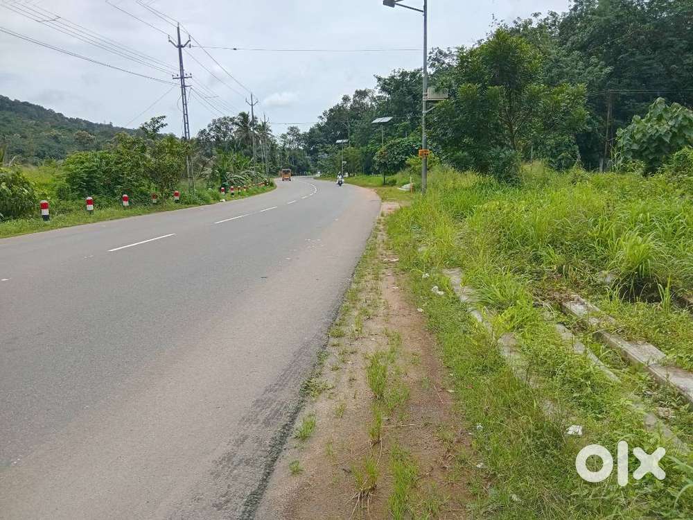 Pala Thodupuzha Highway Plot for Sale near Pala