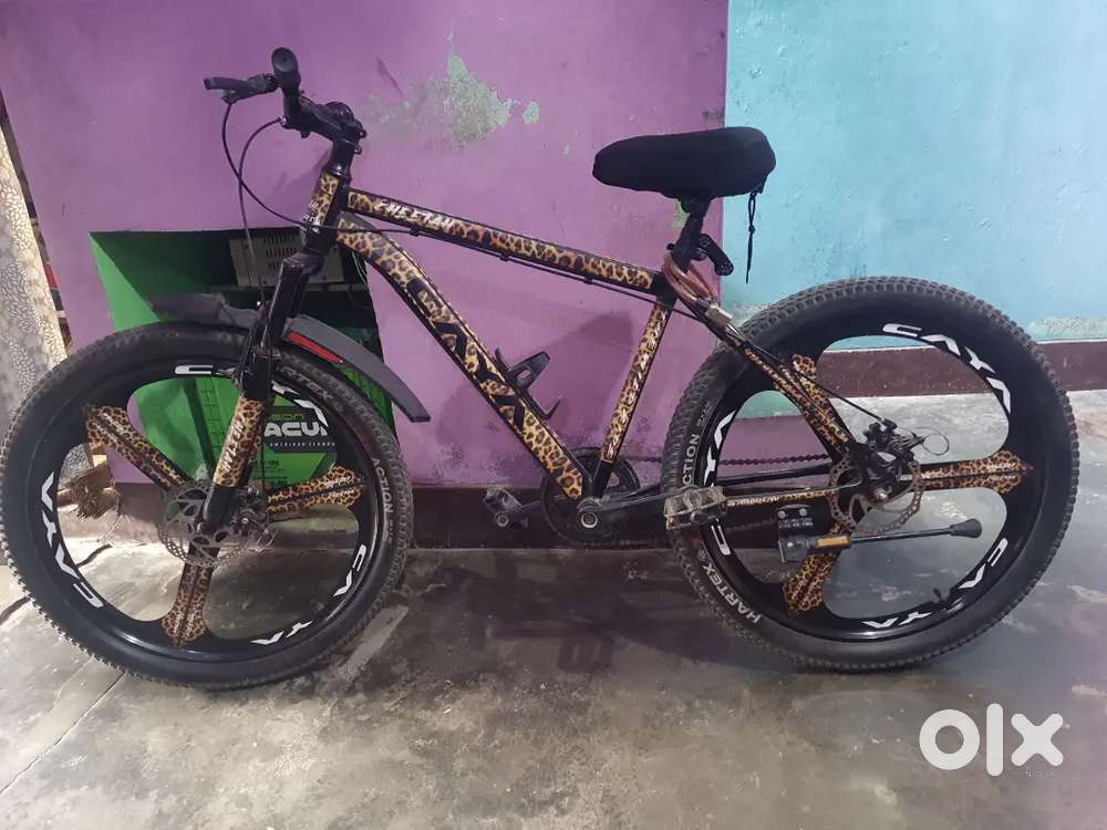 Cheetah cycle