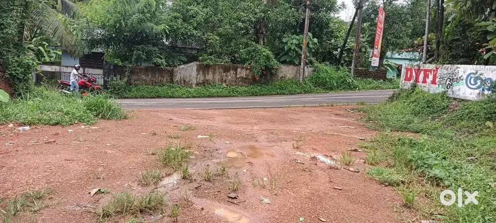 10cent @ Nedumbassery POIKKATTUSSERRY,  main road