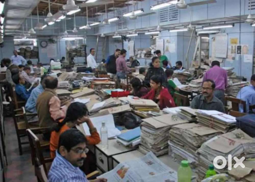 District wise job in all odisha in gov