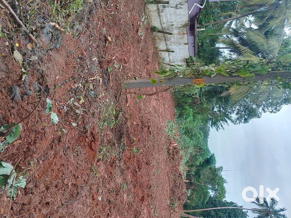 Vallikode Residential Plot