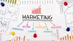 Asm Field executive marketing