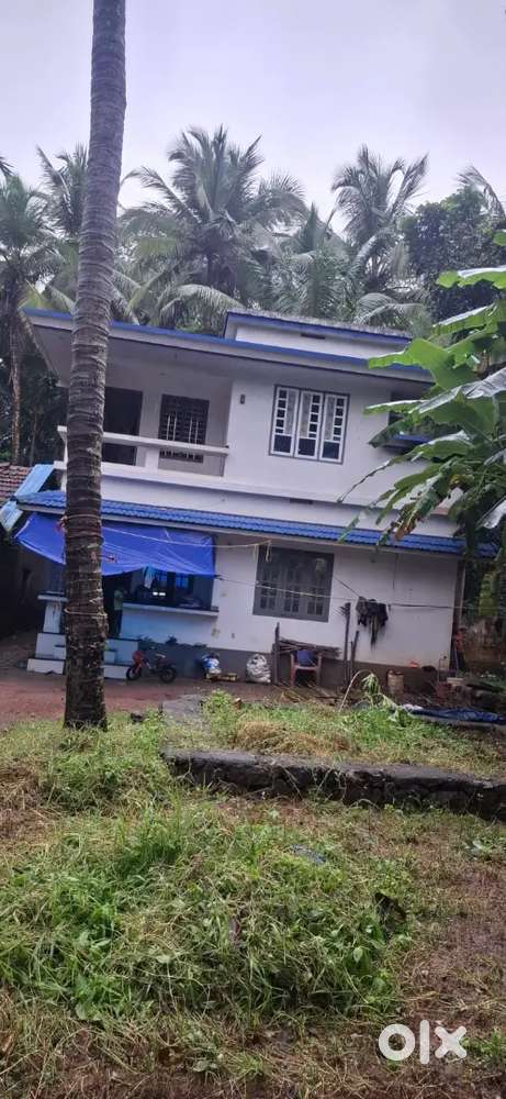 5year Old house