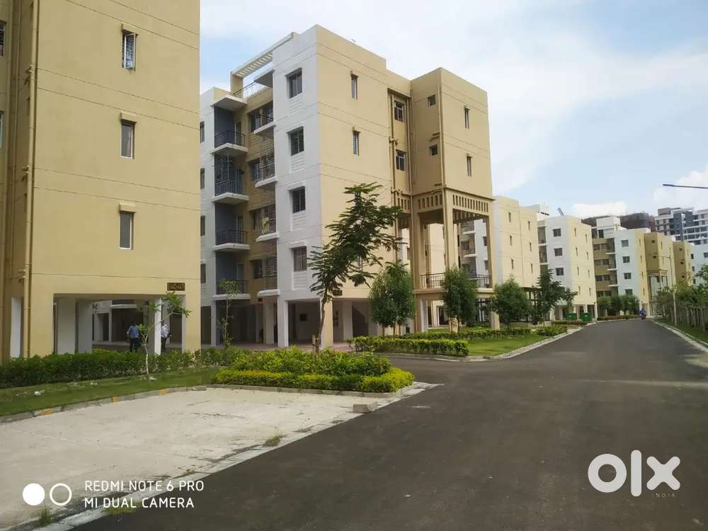 1bhk direct from the owner immediately available