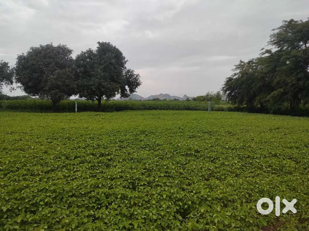 12 cent plot for sale