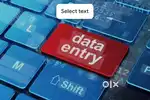 Data entry operator work work from home