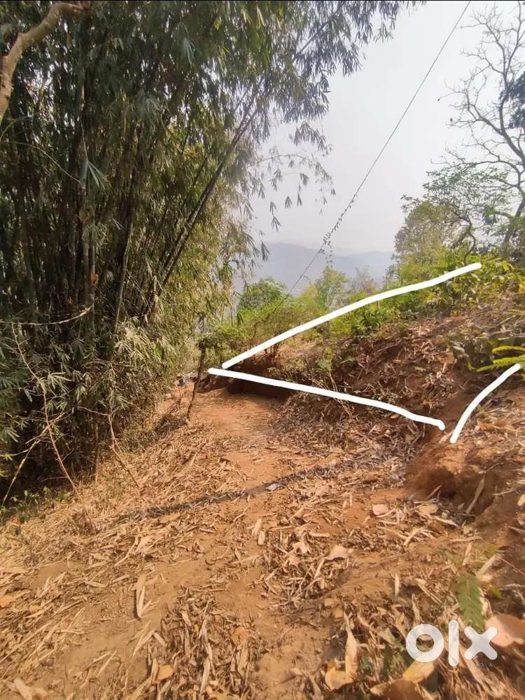 1 katha 5lasa  Aksoniya land for sale  Fix price