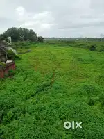 sindhi colony, amalner