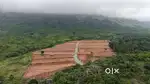 SUPER FEEL GOOD MOUTAIN VIEW PROJECT