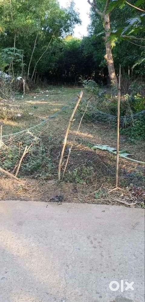 Rupsa , laxman khunta total 8 dissmil ghar badi plot