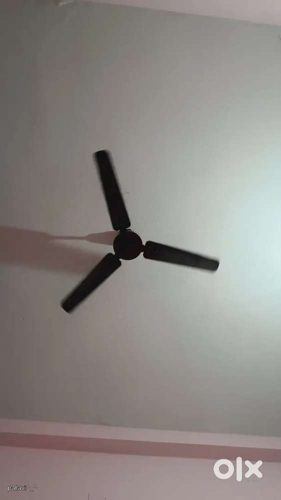 Bajaj ceiling fan