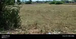 The land is neared by road point