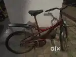 Red Cycle.
