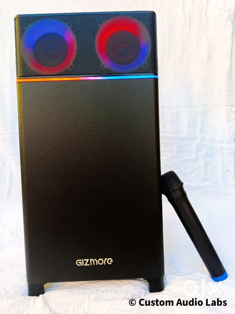 Custom Tuned 100W Wooden Party Box- Upgraded
for Heavy Bass