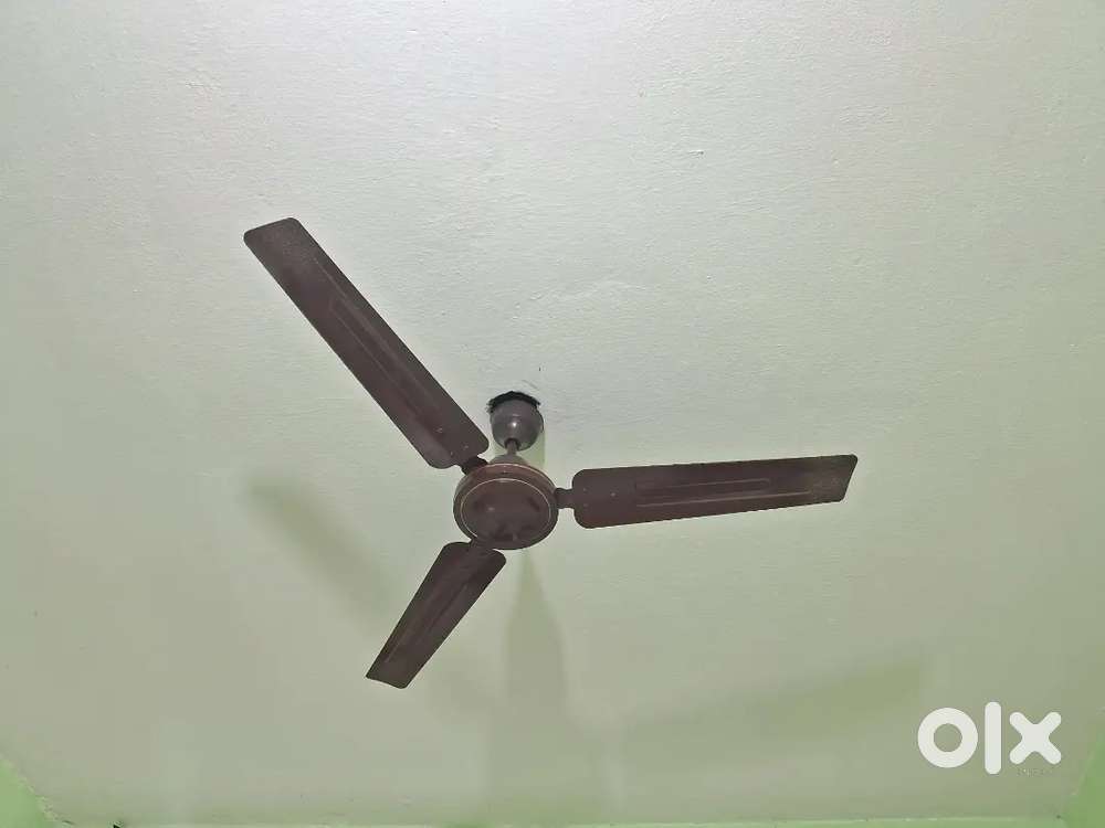 Ceiling  Fan