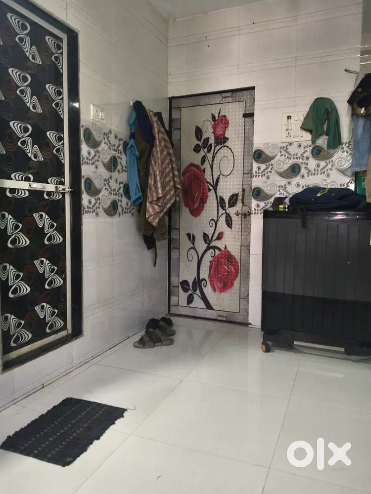 Need professional room mate