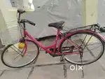 Lady Bird cycle model 2022