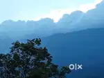 MUNNAR 2.5 ACRE FULL VIEW LAND  CENT : 60 000