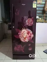 Haier (CANDY) 190 LITER FRIDGE