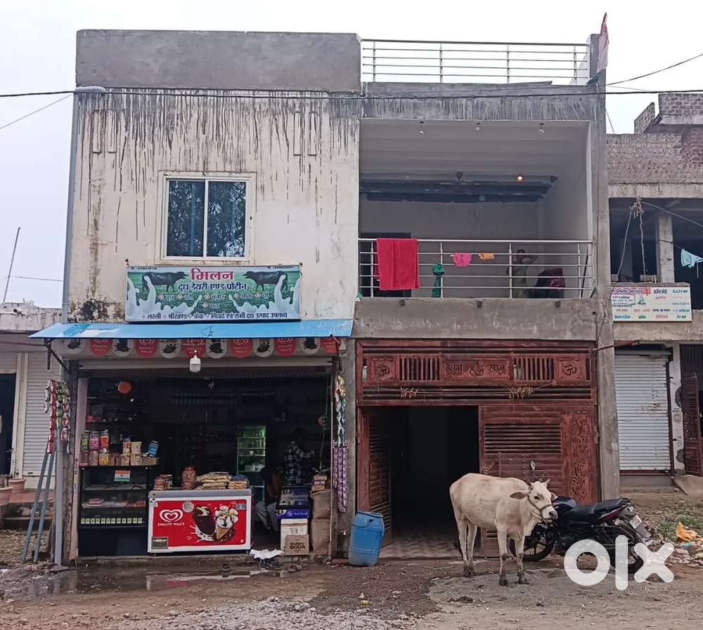 Cake and mithai fridge