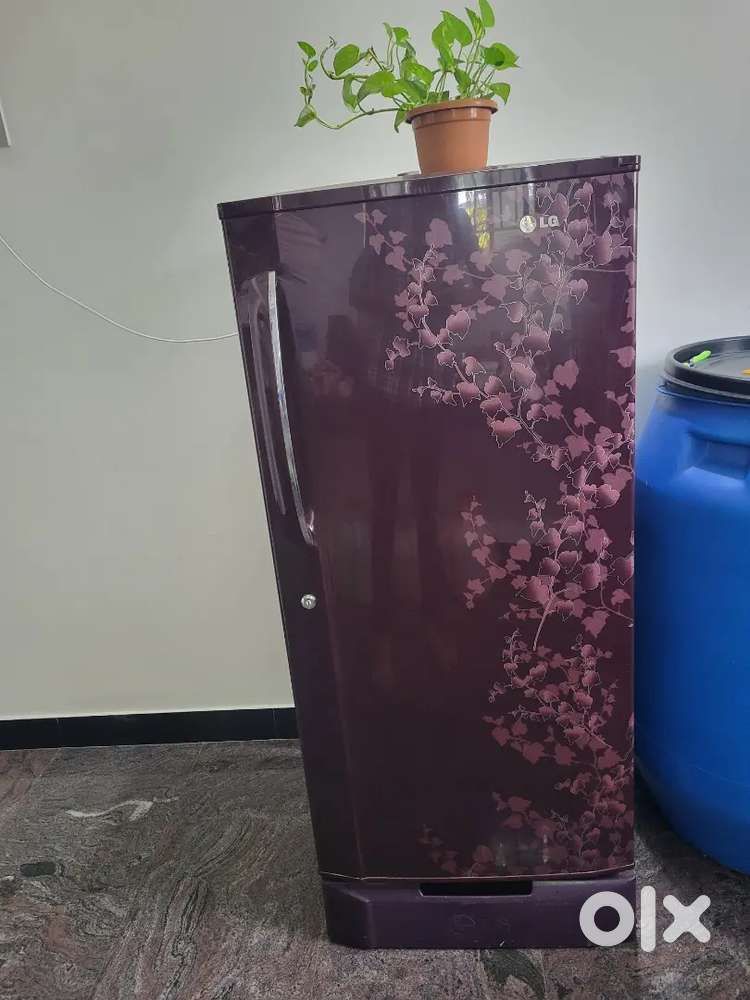 Lg Refregerator