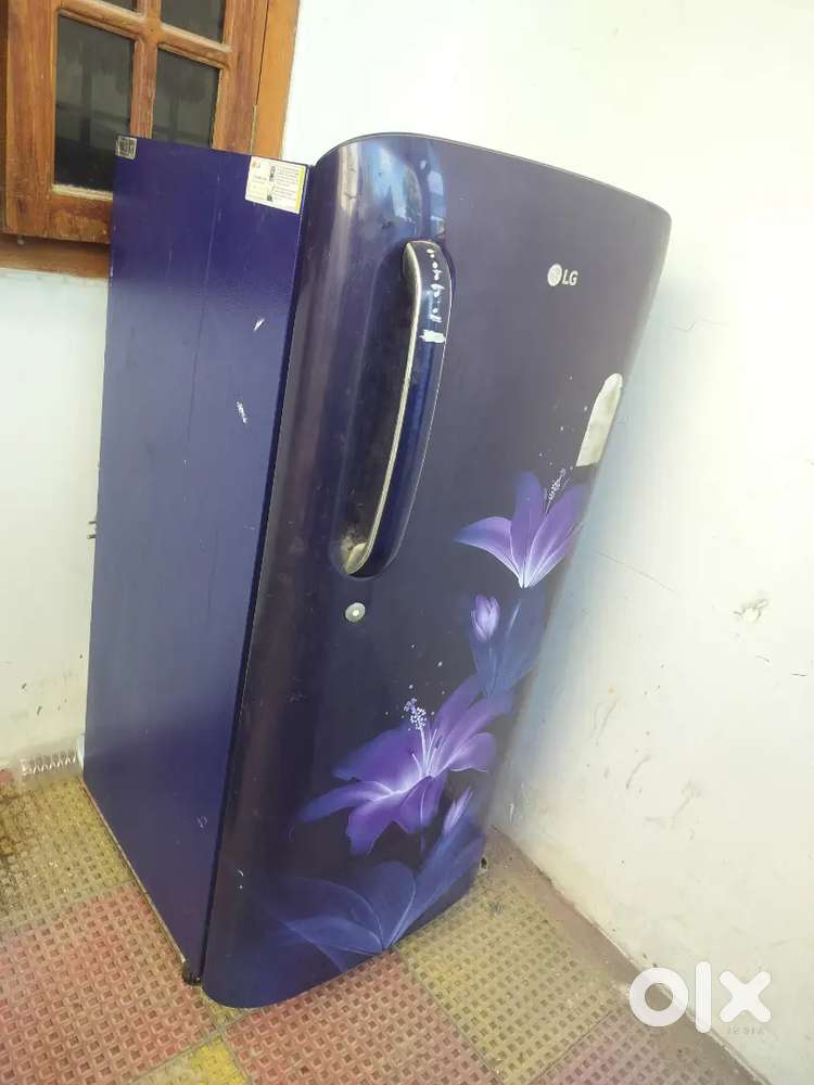 Fridge selling for 4500