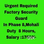 8 Hours Security Guard Job Mohali
